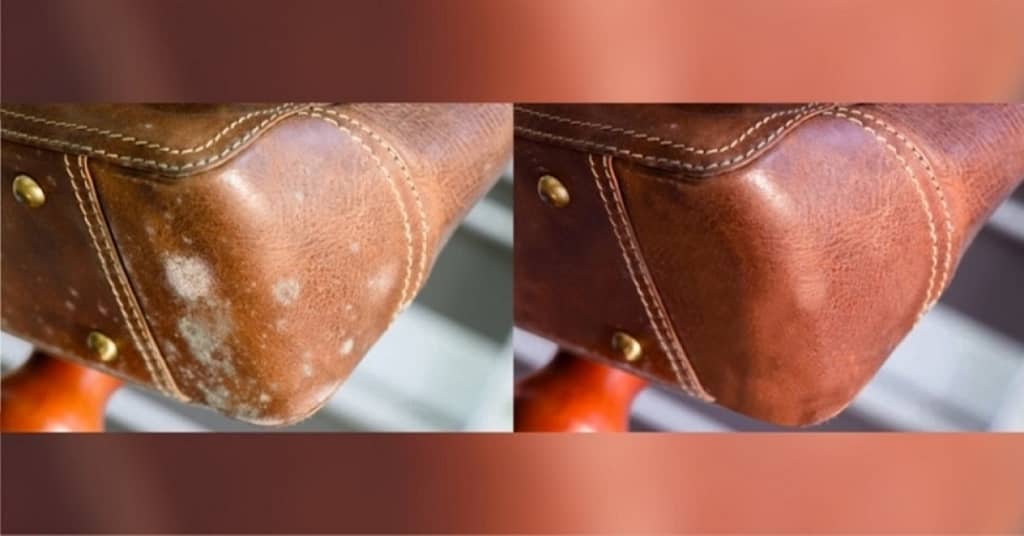 How to Clean Mold off Leather